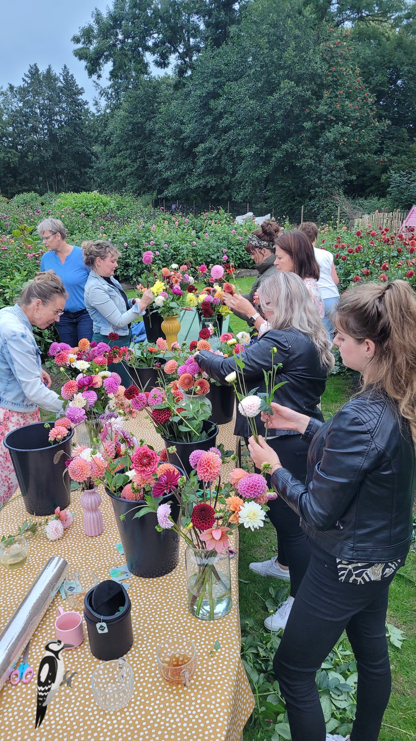 Workshop Dahlia's